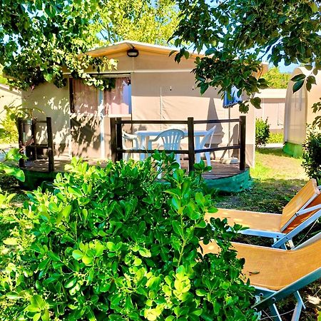 International Glamping Lago Di Bracciano Trevignano Romano Exterior foto