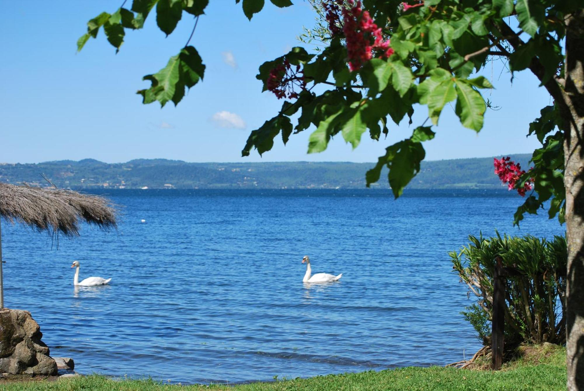 International Glamping Lago Di Bracciano Trevignano Romano Exterior foto