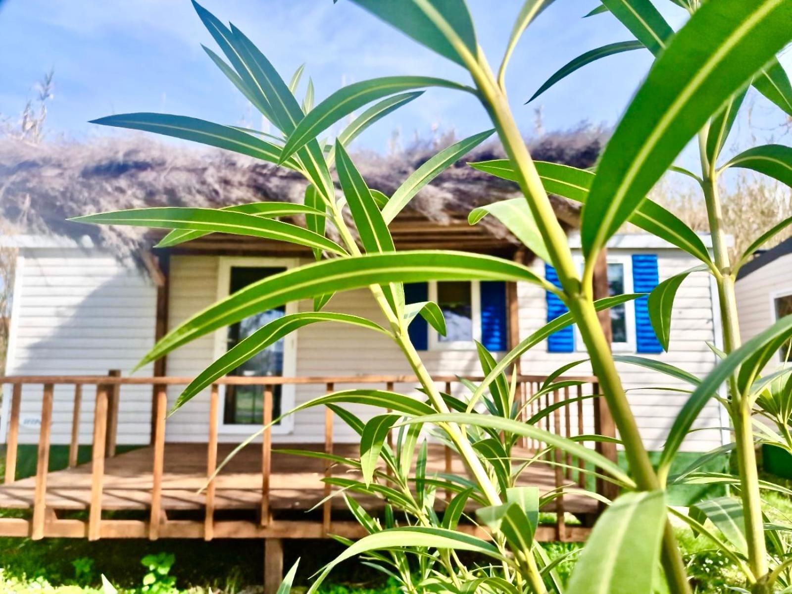 International Glamping Lago Di Bracciano Trevignano Romano Exterior foto