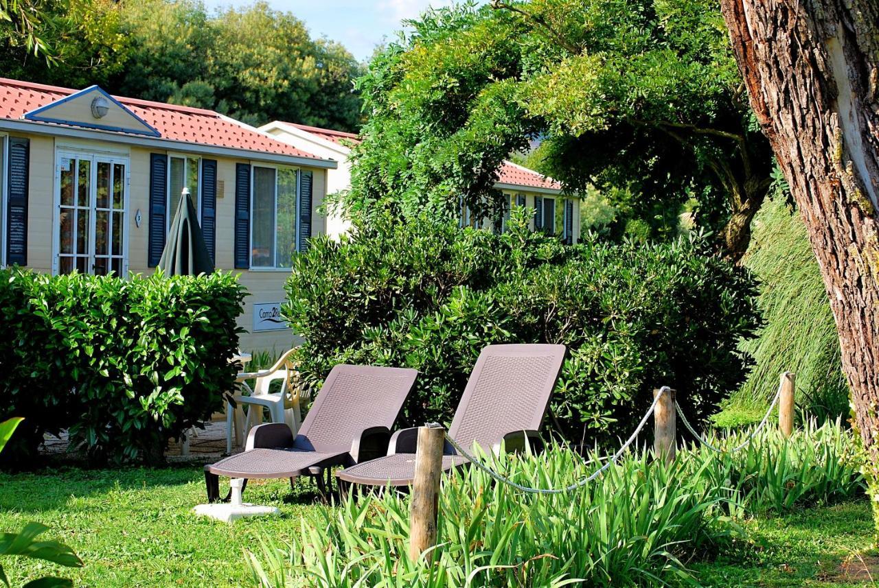 International Glamping Lago Di Bracciano Trevignano Romano Exterior foto