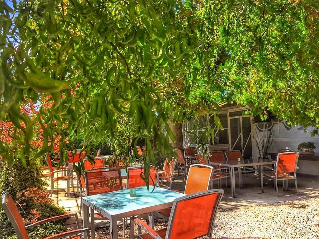 International Glamping Lago Di Bracciano Trevignano Romano Exterior foto